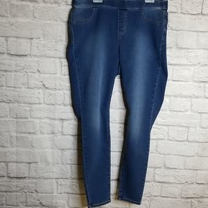 Style &Co Jeggings Jean's Sz 16W Womens New NWT